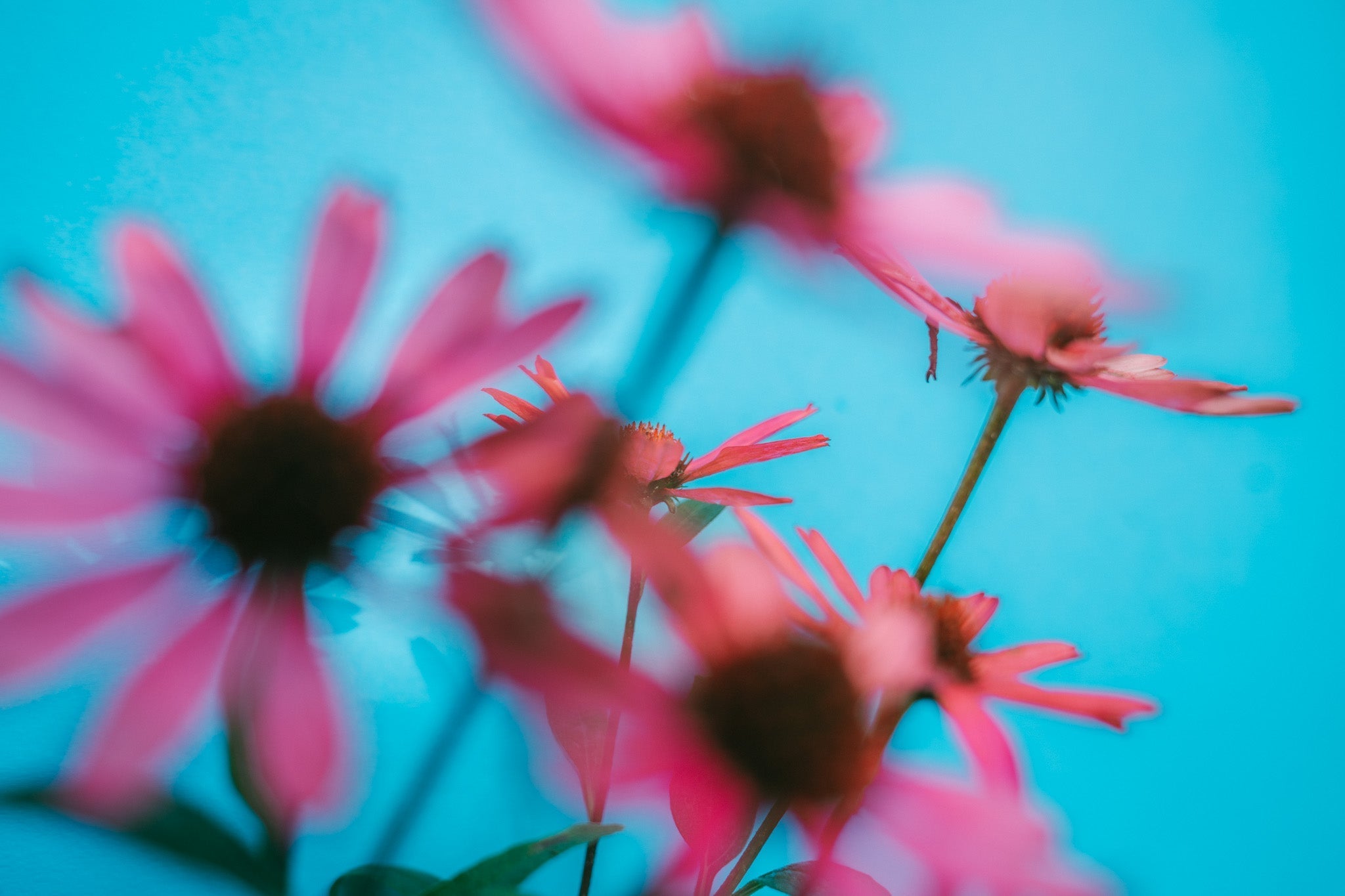 Vacature: E-commerce Specialist