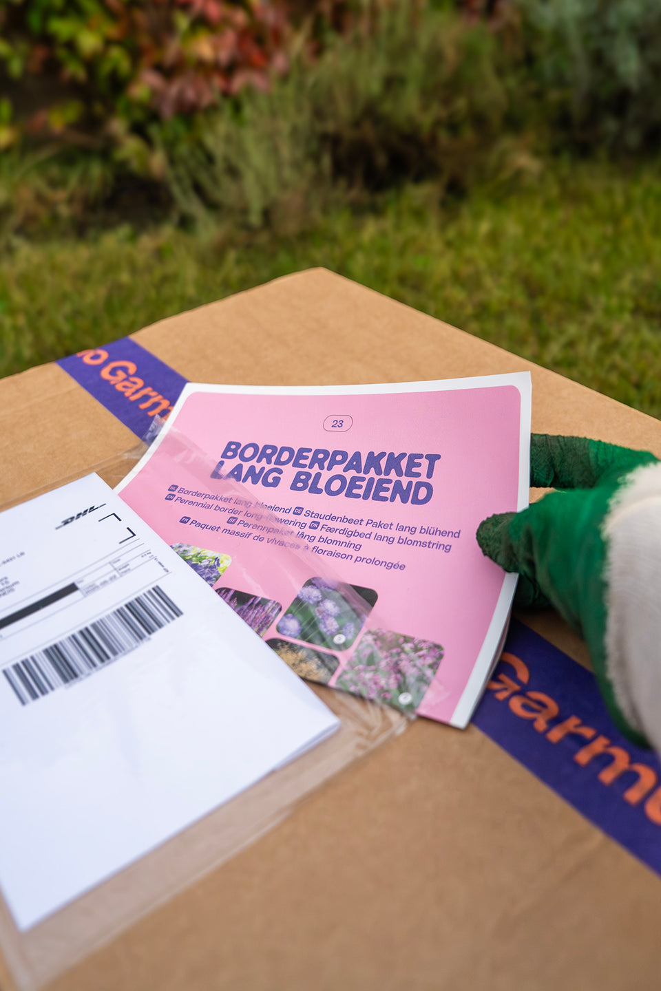 Staudenbeet Paket Rosa, Lila und Rot