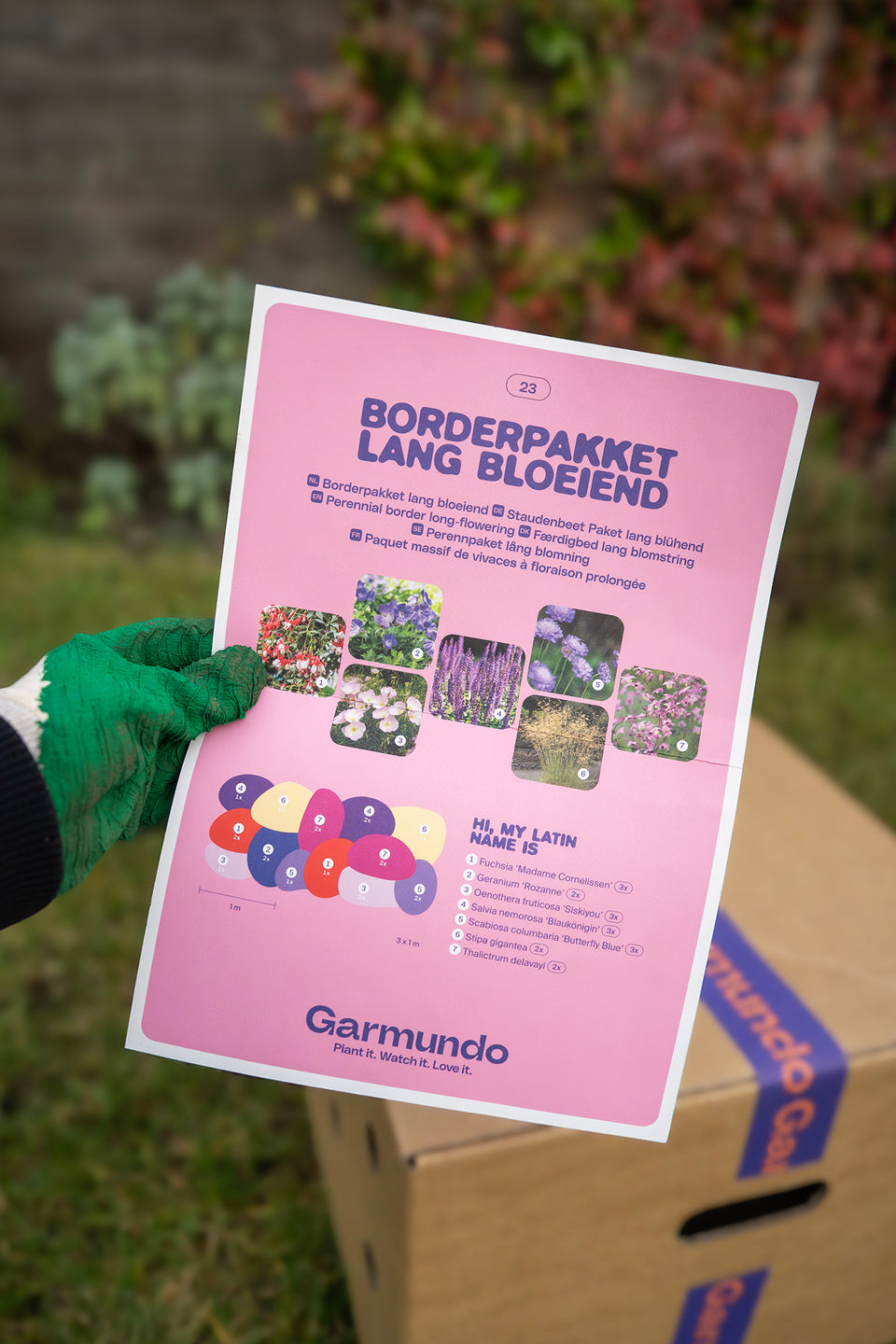 Staudenbeet Paket Rosa, Lila und Rot