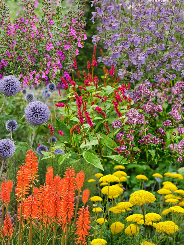 Staudenbeet Paket Cottage