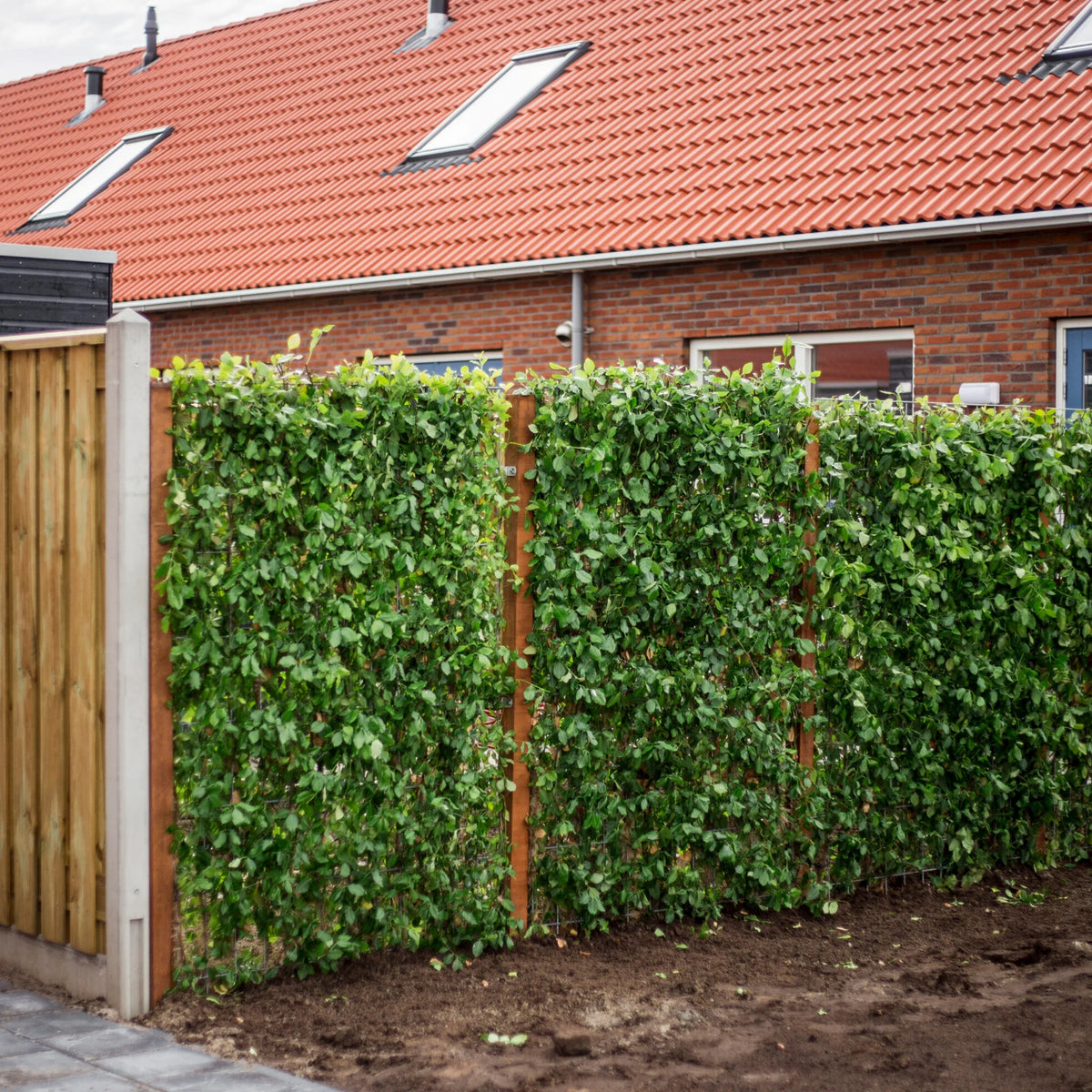 Image 38797670056211