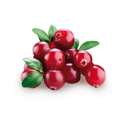 Cranberry 'Early Black'